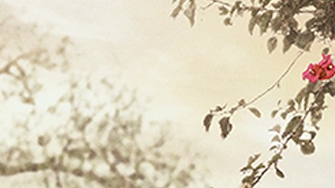 'Pasión de Gavilanes II' llega a casi 20 años de la original.