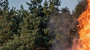 El día que lo detuvieron estaba incendiando un bote de basura