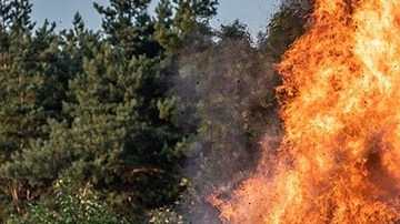 El día que lo detuvieron estaba incendiando un bote de basura