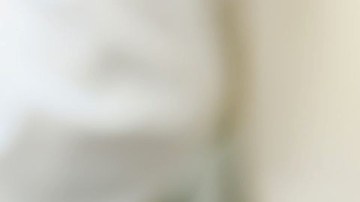 Un adolescente gana $1,800 tras una apuesta con su mamá: no usar redes sociales durante seis años