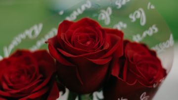 El número de rosas que se regalan tiene un simbolismo particular.