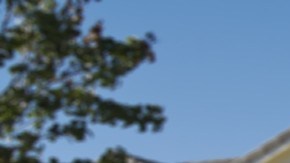 Alquiler en Estados Unidos: en estas ciudades es mejor comprar una vivienda que rentarla