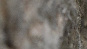 Una persona murió en Iowa por fiebre de Lassa: de qué se trata