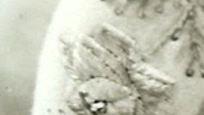 Flor Silvestre | Mezcalent.