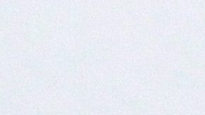 Sylvia Pasquel | Mezcalent.