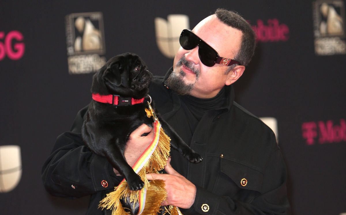 VIDEO: Pepe Aguilar introduces the new member of the family and one of his “children” becomes jealous