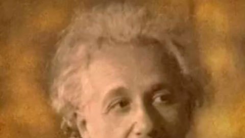 ¿Por qué la guerra?: las cartas que se intercambiaron Einstein y Freud hace 90 años