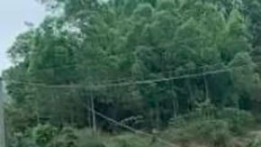 Lo que se sabe del accidente del avión de China Eastern que se estrelló en Guangxi con 132 personas a bordo