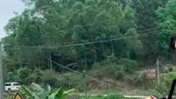 Lo que se sabe del accidente del avión de China Eastern que se estrelló en Guangxi con 132 personas a bordo