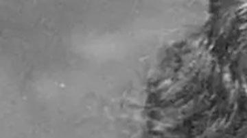 La fascinante historia de Alice Ball, la científica estadounidense que desarrolló el primer tratamiento efectivo contra la lepra