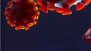 Covid-19: cómo es la ómicron "silenciosa", la subvariante que ya es la dominante en todo el mundo