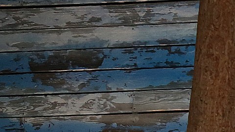 Come from away