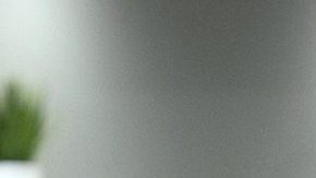 Elenco del Programa Hoy | Mezcalent.