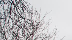 Un avión caza se estrelló contra viviendas en Kiev