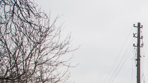 Un avión caza se estrelló contra viviendas en Kiev