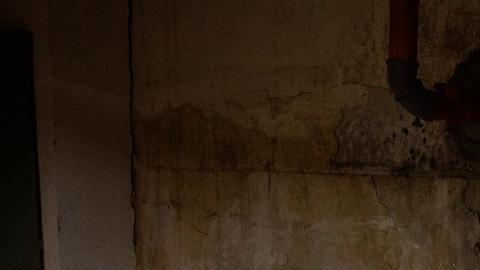 OMS advierte que hospitales ucranianos podrían quedarse sin oxígeno en 24 horas