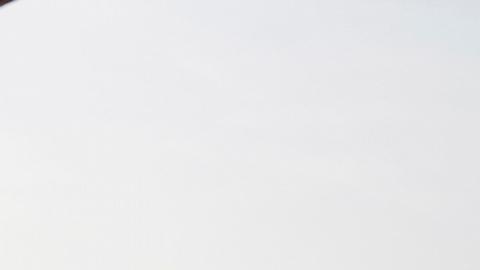 61083404_606