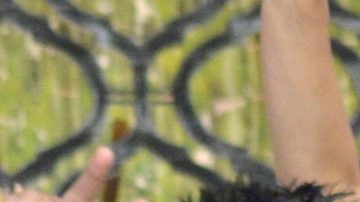 Elenco de Venga La Alegría | Mezcalent.