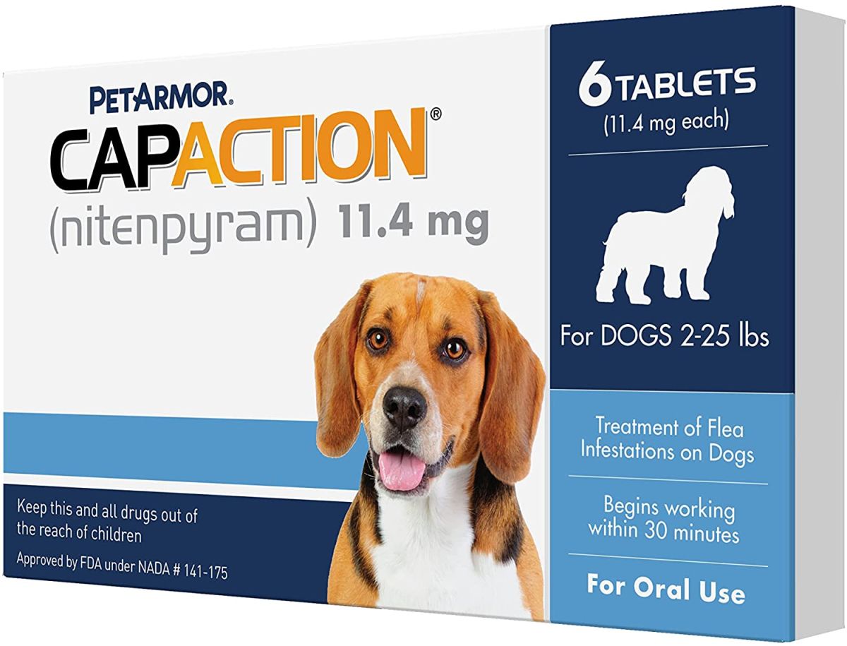 Desparasitar a los perros: ¿qué pastillas usar? - Opinión