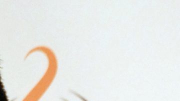 Jenni Rivera | Mezcalent.