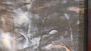 Giovanni Medina | Mezcalent.