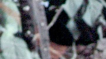 Sasha Sokol | Mezcalent.