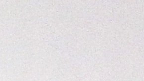 Andrés Manuel López Obrador y Belinda.