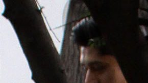 Mauricio Ochmann | Mezcalent.