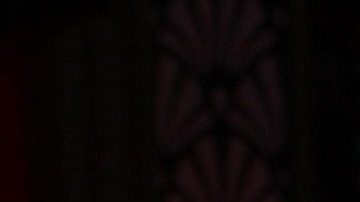 Andrea Legarreta | Mezcalent.