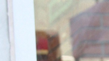 Guillermo del Toro | Mezcalent.