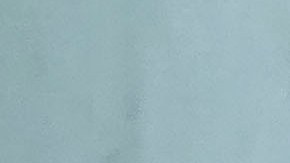 Gilberto Adame auxiliar técnico del américa.