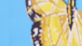 Alicia Machado para la colita y la mueve con ajustados leggins en Instagram