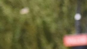 Beyoncé acalora las redes sociales.