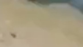 CJNG patrulla las carreteras de Zacatecas.