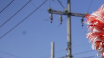 A últimas fechas el Peñón de los Baños se ha convertido en una zona muy peligrosa por la actividad de bandas rivales.