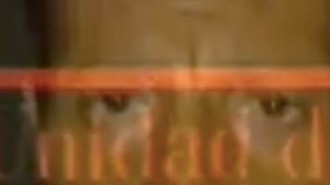 El Carrier es el sicario que traicionó al Mencho y pasaba información del CJNG a la Vaca.