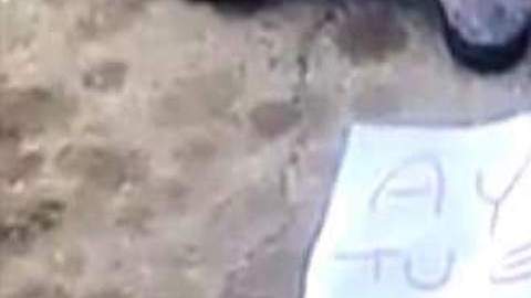 Cártel del Golfo asesina a jefe de plaza de grupo rival en la frontera.