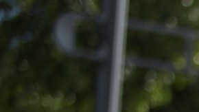 AMLO celebra que marchas por el Día Internacional de la Mujer transcurrieran "en paz"