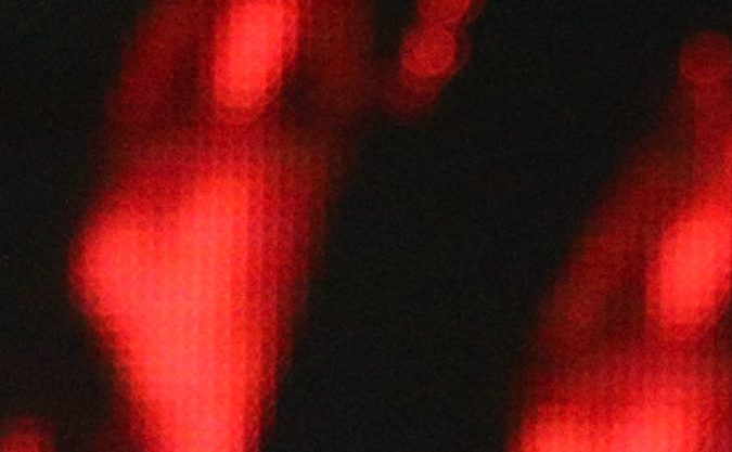 Esposa de Daddy Yankee dedica conmovedor mensaje al "Rey del Reggaetón" por su retiro