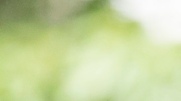 David Huerta, presidente del SEIU-USWW. (Photo Robert Durell/SEIU California)