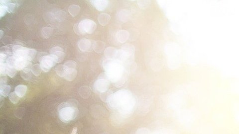 Equinoccio de Primavera 2022 Los mejores rituales para renovarse de energía