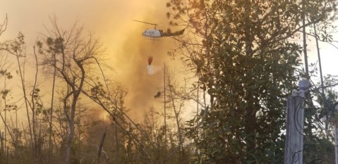 Incendio forestal en Florida