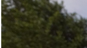La madre se encuentra en estado crítico, los dos menores están a salvo de sus heridas.