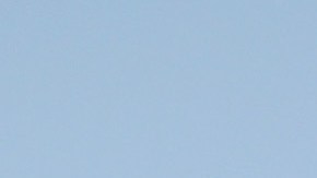 Anaheim, California. (Photo by Sean M. Haffey/Getty Images)