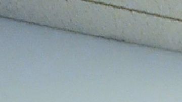 Ron DeSantis Republicanos Elecciones