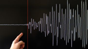A technician of the French National Seism Survey Institute (RENASS) presents a graph on March 11, 2011 in Strasbourg, Eastern France, registered today during a major earthquake in Japan. A 8.9 magnitude quake hit northeast Japan today, causing many injuries, deaths, fires and a tsunami along parts of the country's coastline. AFP PHOTO / FREDERICK FLORIN (Photo credit should read FREDERICK FLORIN/AFP via Getty Images)