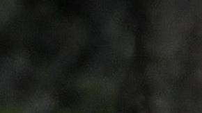 Patrulla Fronteriza migrantes frontera sur