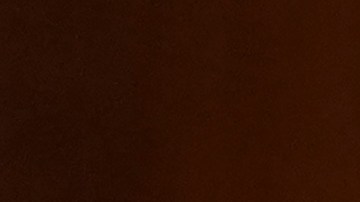 Anna Sorokin Anna Delvey Nueva York ICE Deportación