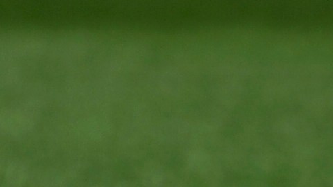 Tragedia en Stanford: Hallan muerta a Katie Meyer, la capitana de su equipo de fútbol