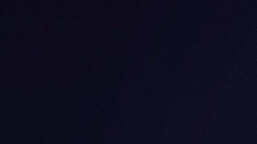 Tucker Carlson se ha expresado en contra de cualquier protección de indocumentados.